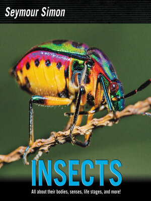 cover image of Insects